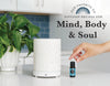 Our Favorite Essential Oil Diffuser Recipes For Mind, Body & Soul