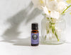 Unveiling the Magic of Calming The Mind Essential Oil Blend + 15% Off | One Day Only