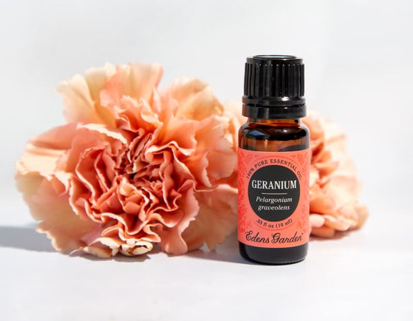 Top 5 perks of geranium essential oil at home – PureCult®