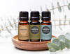 What is Frankincense Oil? Which Frankincense Oil Should I Buy?
