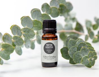 Eucalyptus for Wellness | Your Guide to a Rejuvenating Experience