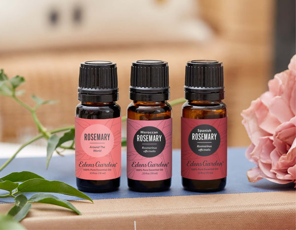 Rosemary 101 | Discover The Benefits of Rosemary Essential Oil | 3