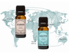 Take a Trip With Eucalyptus & Cedarwood Around The World Oils