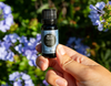 AAA: Why Is My Essential Oil Blue?