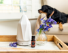 How To Neutralize Pet Odors With Essential Oils