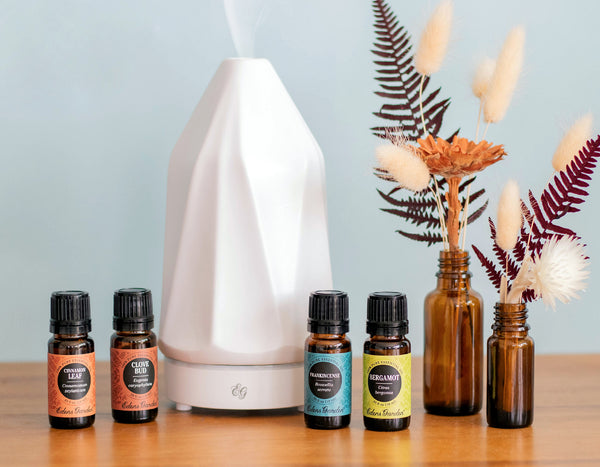 How To Use Essential Oils To Clean Air