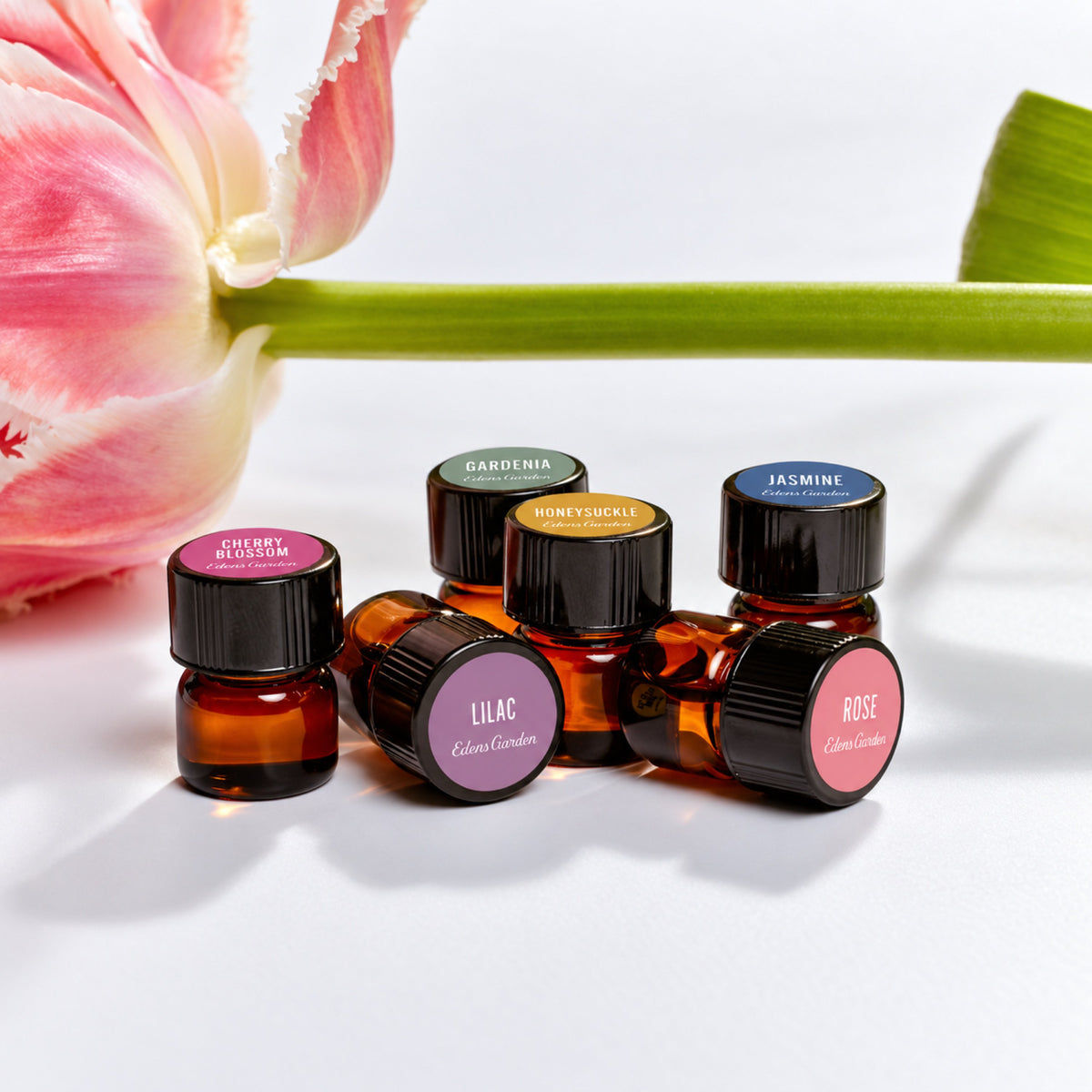 Six sample-size amber glass essential oil bottles with black caps and round colored labels are arranged on a white surface. A pink tulip flower and green stem stretch across the background.