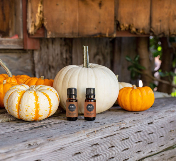 Ginger Essential Oils Benefits & Uses Edens Garden