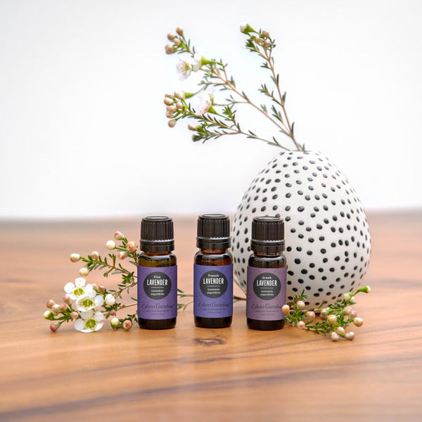 greek lavender plant 100% Pure Lavender- Greek Essential Oil for Skin, Relaxation and Sleep 10 ml, by Edens Garden