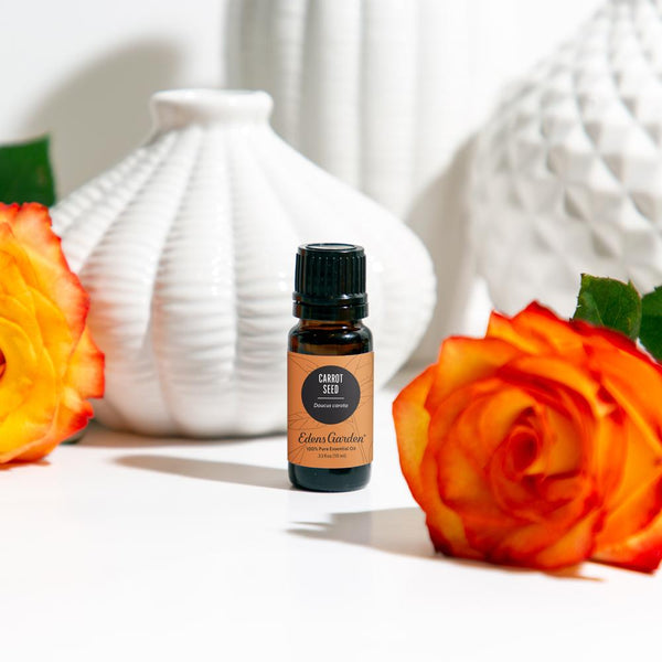 garden of wisdom carrot seed oil Carrot Essential Oil - Carrot Oil For Skin & Hair