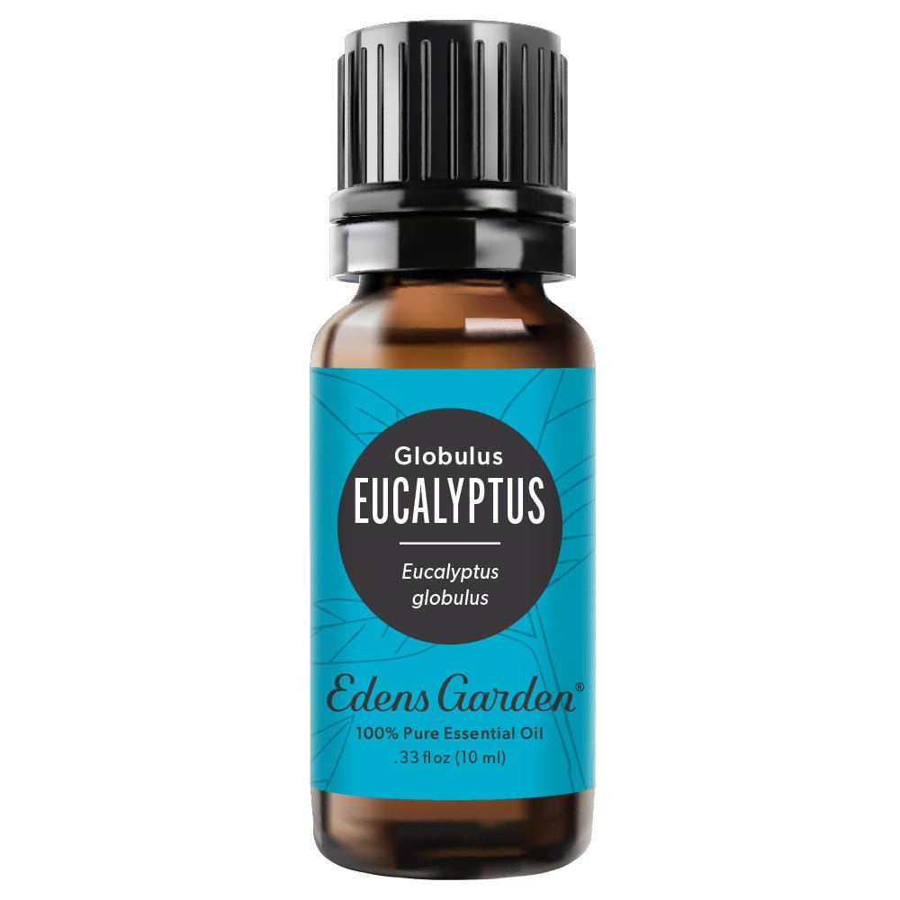 Eucalyptus- Globulus Essential Oil