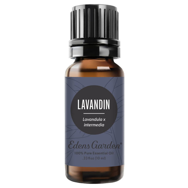 Lavandin | Essential Oils | Edens Garden