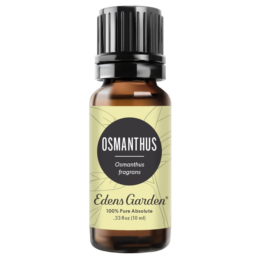 Osmanthus Absolute