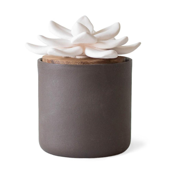 ceramic succulent diffuser young living Bloom Ceramic Essential Oil Diffuser