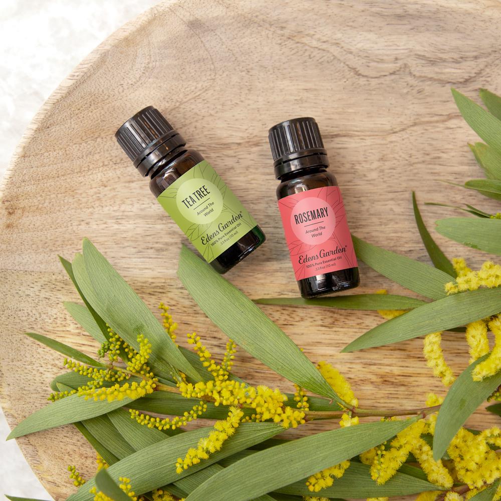 Lifestyle image of Tea Tree Around The World Essential Oil