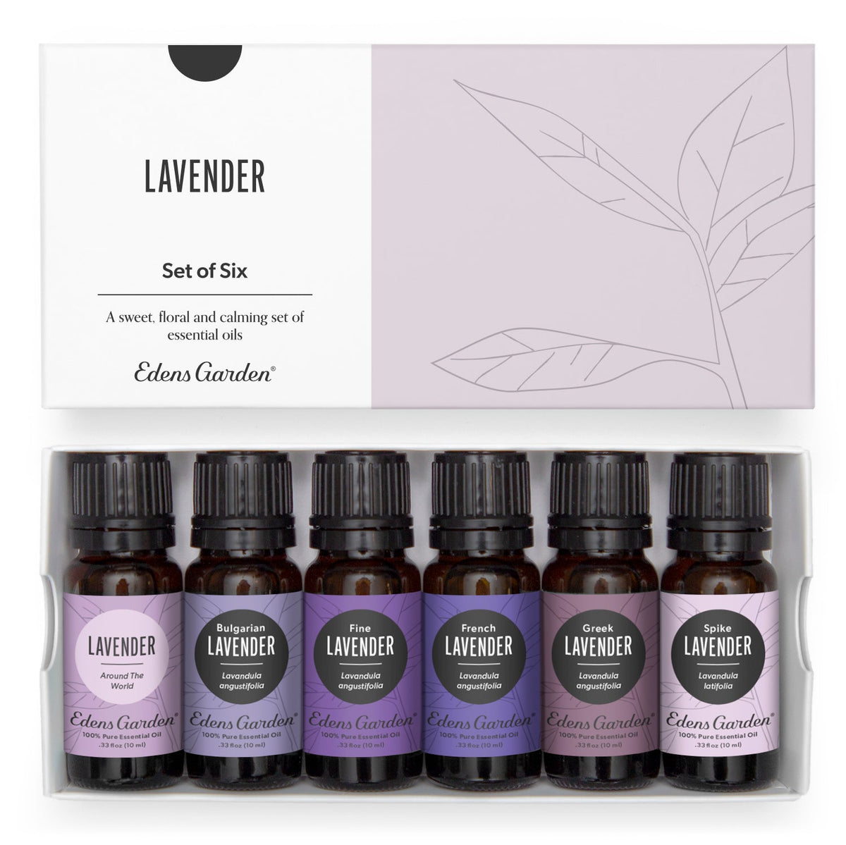 Lavender Essential Oil 6 Set