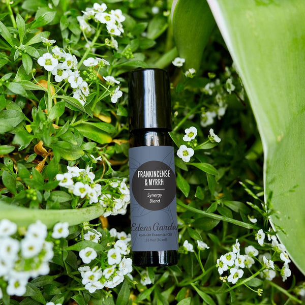 Frankincense and Myrrh Essential Oil Roll On–Natural Frankincense Esse –  UpNature