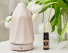 How Essential Oils Can Help You Maintain A Better Work-Life Balance