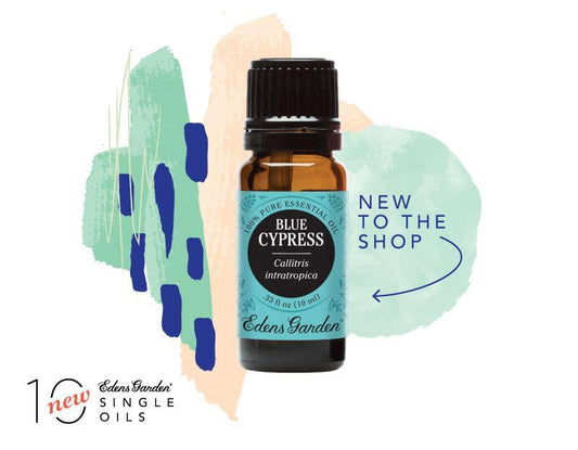 Introducing Blue Cypress Diy