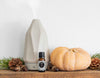 Diy: 3 Fall Diffuser Blend Recipes