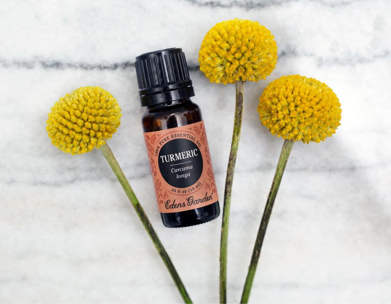 8 Turmeric Essential Oil Benefits And Uses Edens Garden