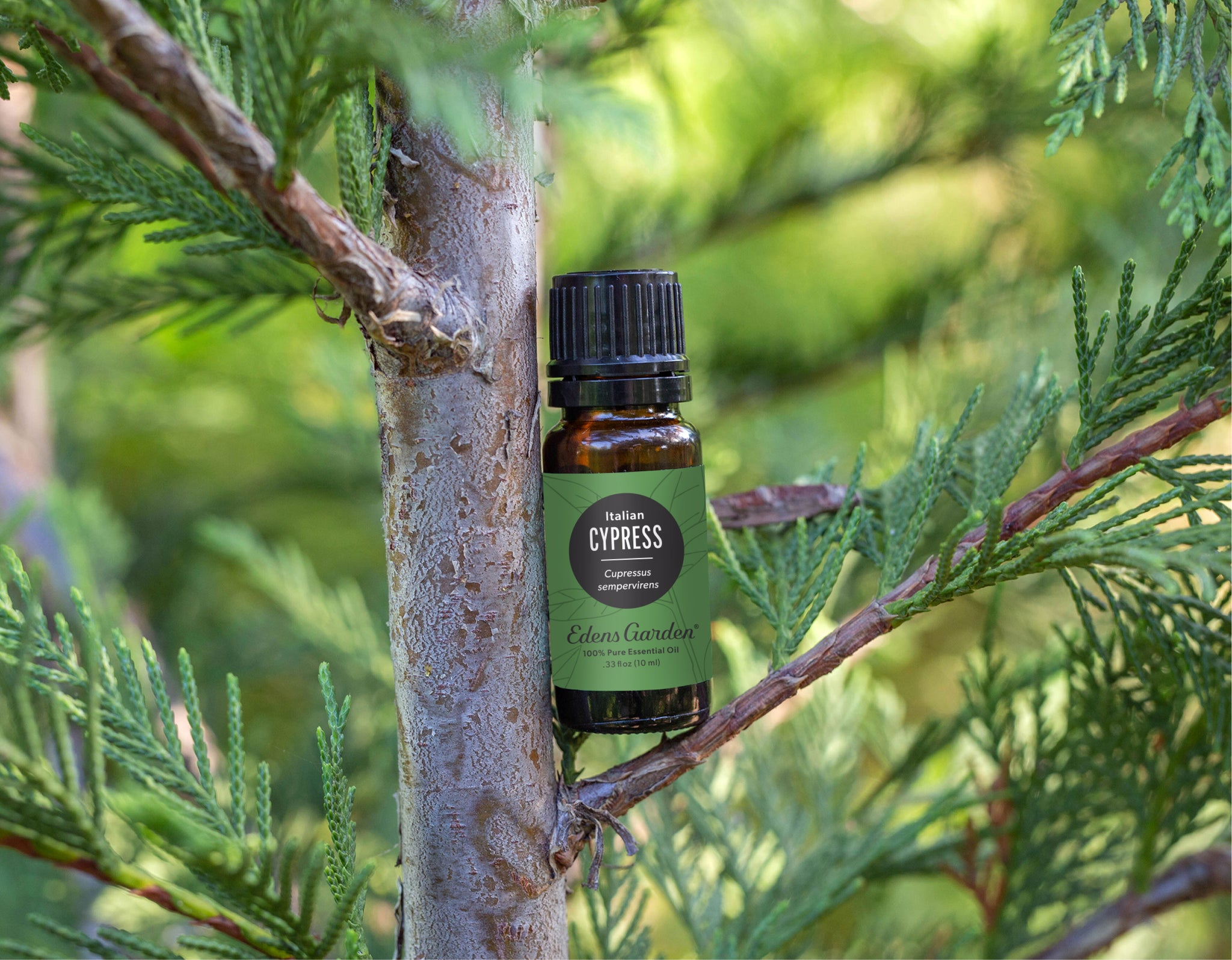 Forest Bathing & Essential Oils | Improve Mental & Physical Health