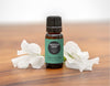 Can Essential Oils Help With Memory?