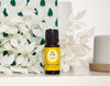 Day #7- 25% off all Sale Items in the Sale section