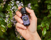 Hand holding Lavender- Bulgarian essential oil