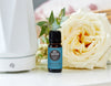 The Top Benefits & Uses Of Best Sleep Ever Essential Oil Blend