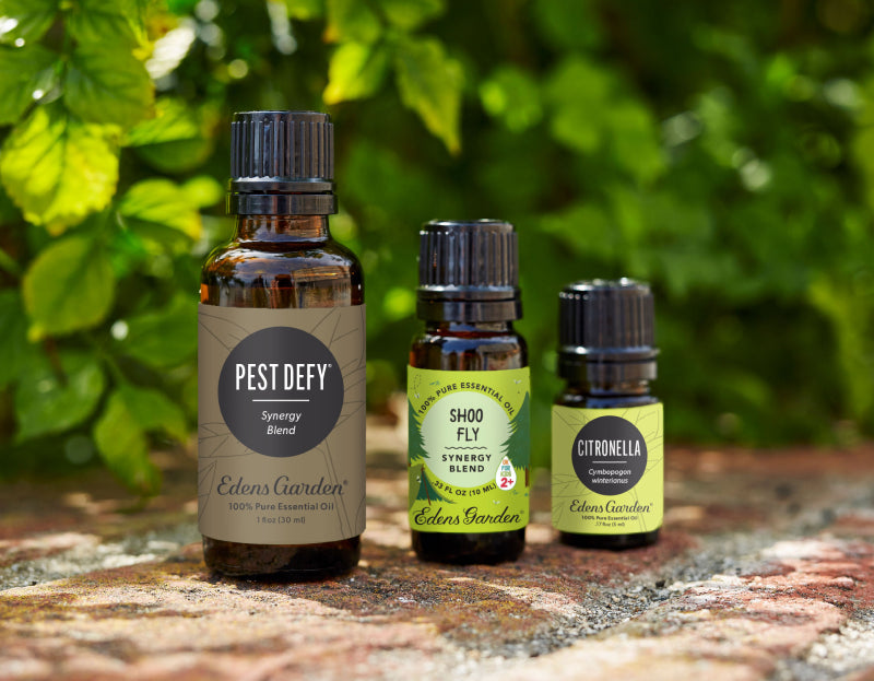 9 Essential Oils That Can Help Repel Bugs