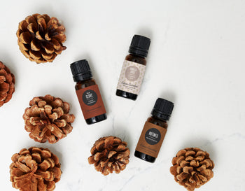 From Harvest to Holiday: Classic Fall & Winter Aromas