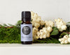 Day #8- 20% off sitewide + Free This Smells Amazing Essential Oil Blend over $75