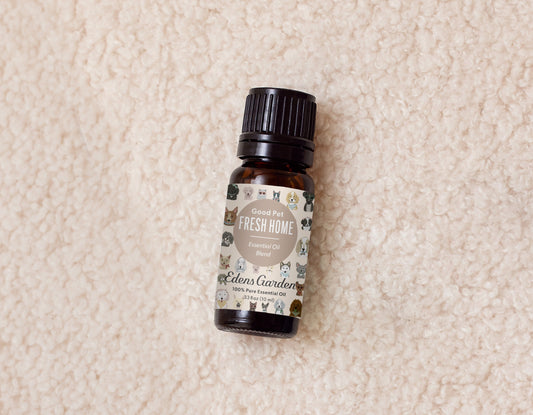 The DIY Carpet & Rug Deodorizer Every Pet Home Need