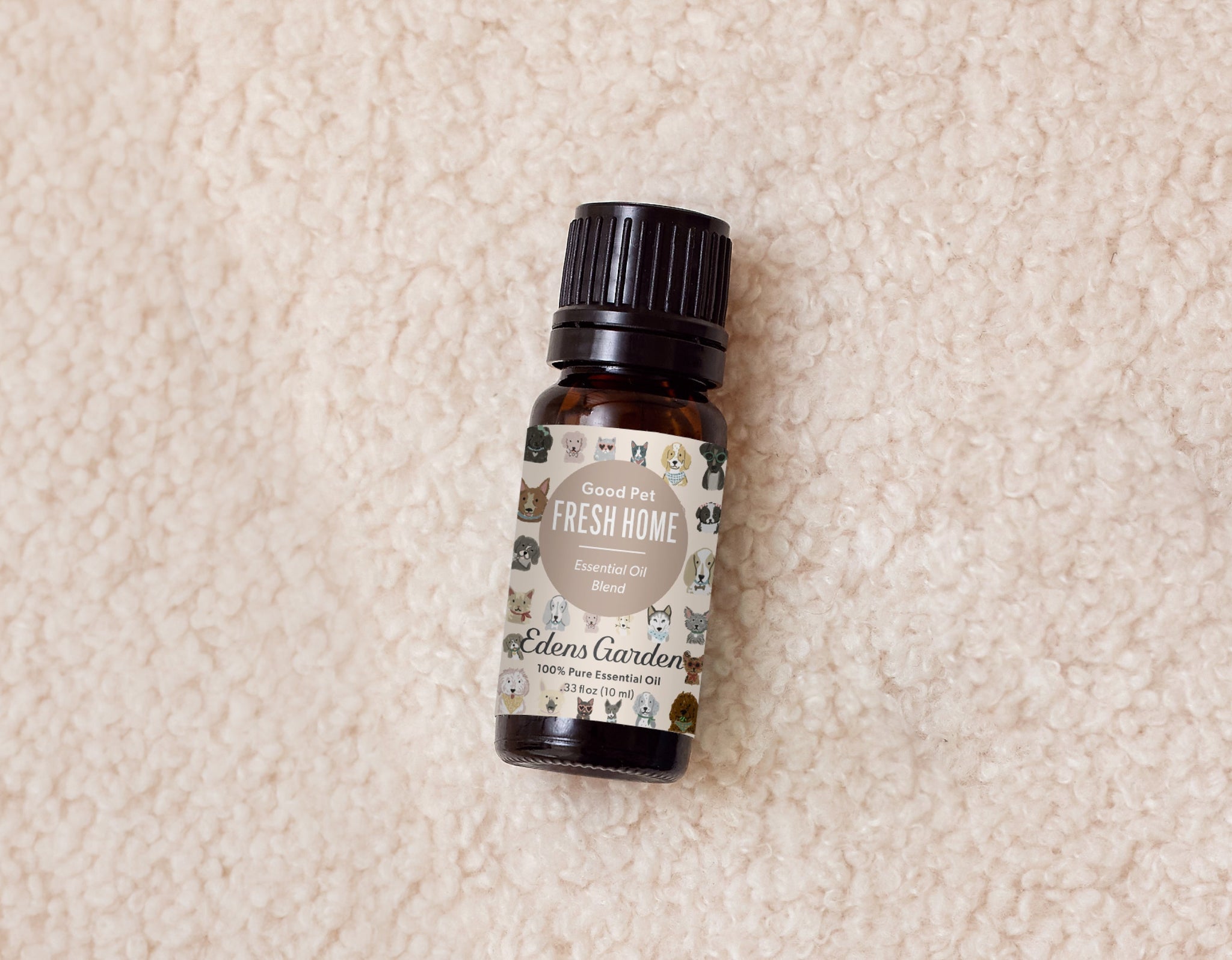 The DIY Carpet & Rug Deodorizer Every Pet Home Need