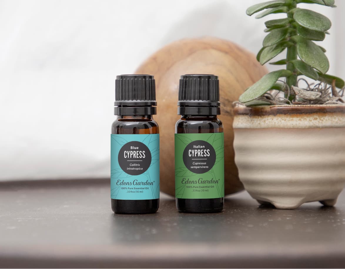 This or That: Italian Cypress vs. Blue Cypress