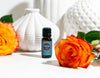 Boost Your Day With 6 Diffuser Days DIYs