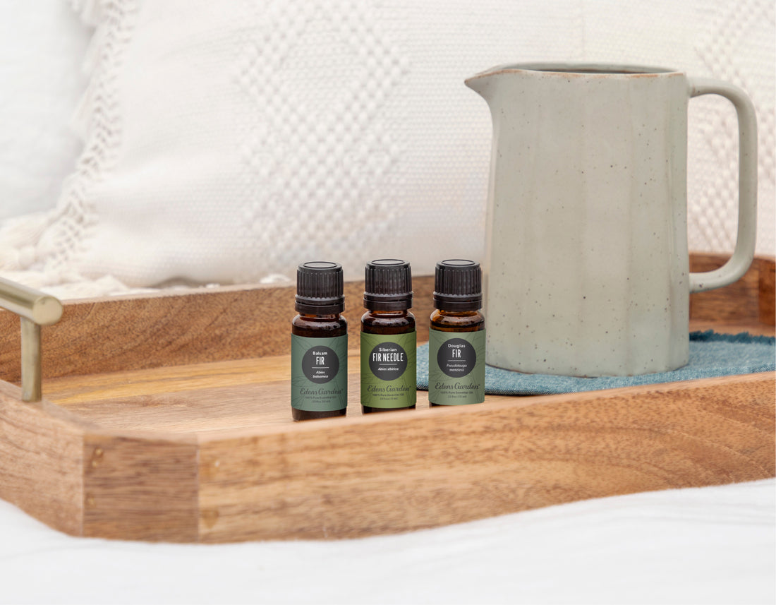 Winter Wellness: Find the Fir Oil That’s Perfect for You
