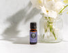Unveiling the Magic of Calming The Mind Essential Oil Blend + 15% Off | One Day Only