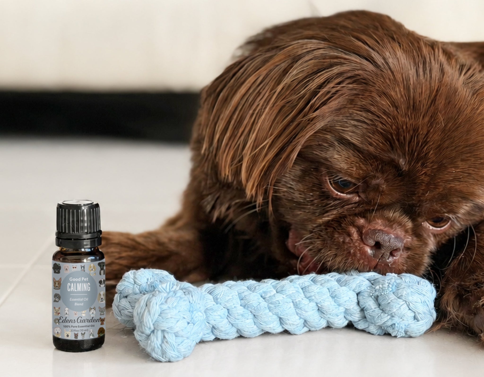 DIY | Good Pet Grooming & Detangling Spray