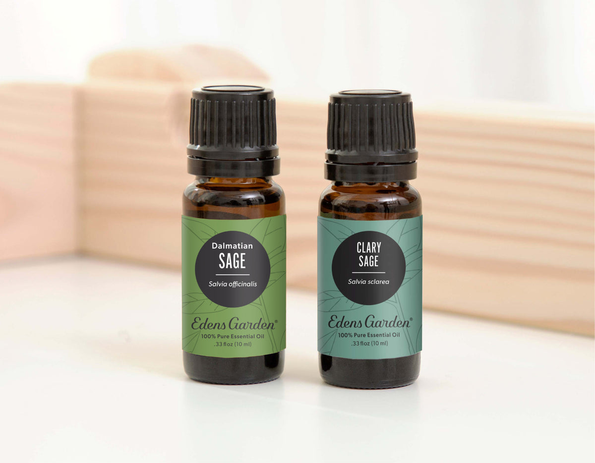 What is Clary Sage Essential Oil Used For? Is There a Difference Between Sage Oils?