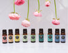 9 New Essential Oil Blends For Health & Wellness
