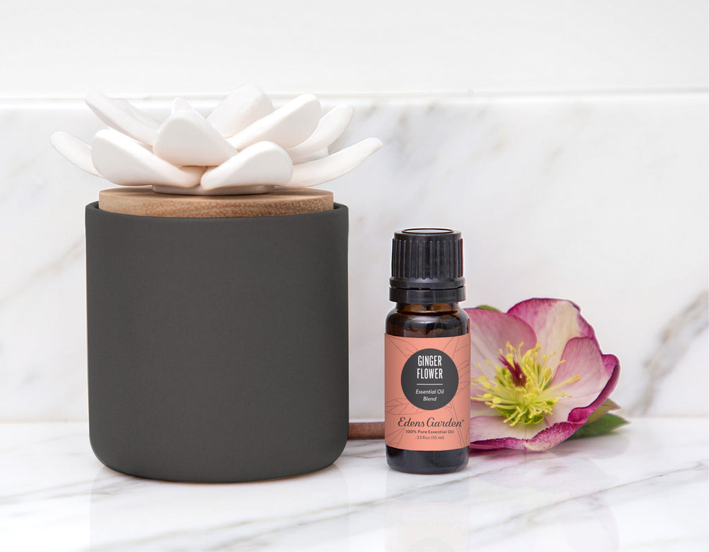 Ginger Flower Diffuser Best Flower Site