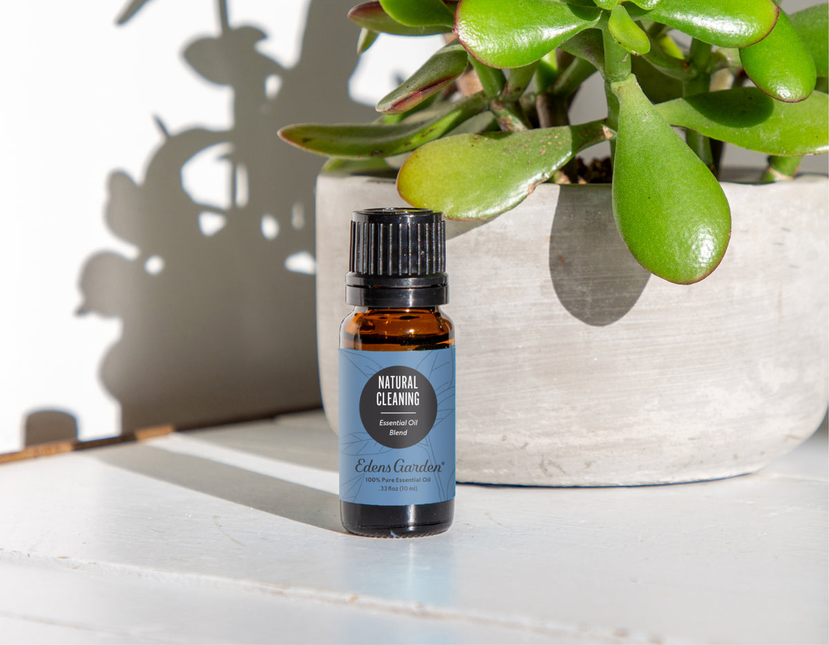 Natural Cleaning Made Easy With Our Essential Oil Blend