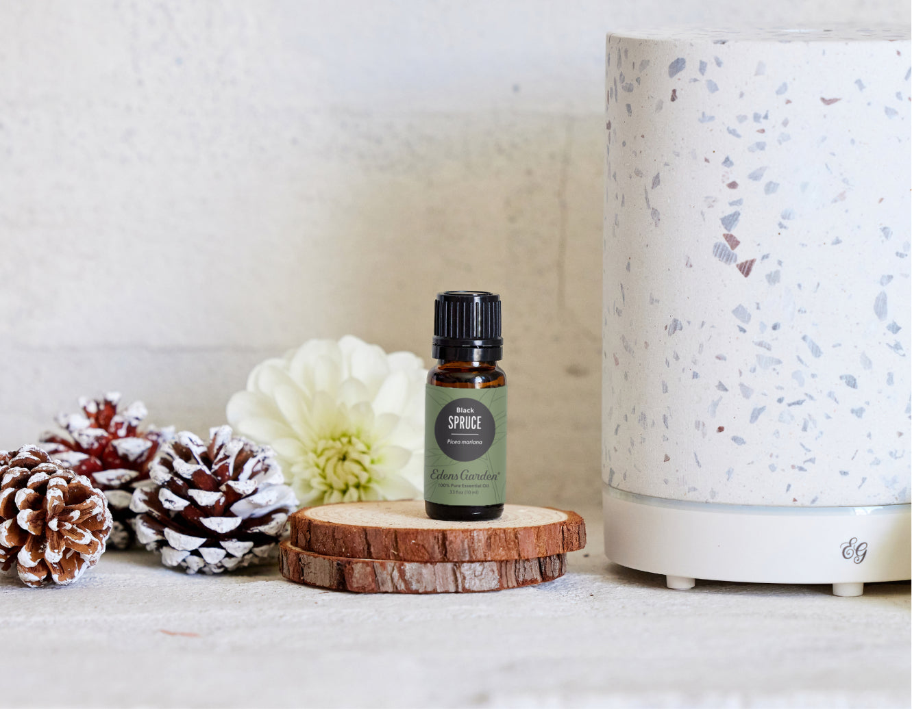 5 Benefits of Spruce Essential Oil