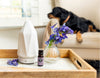 The Best Essential Oil Tips For Your Dog on the 4th of July