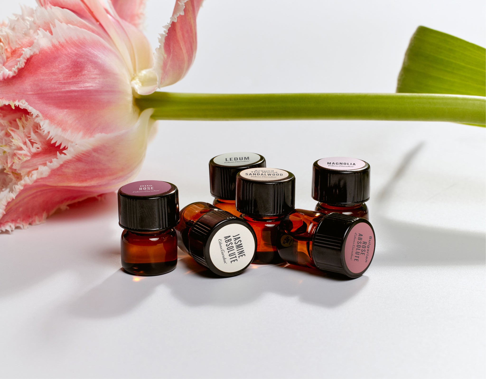 NEW! | Sample Size Oils & Blends