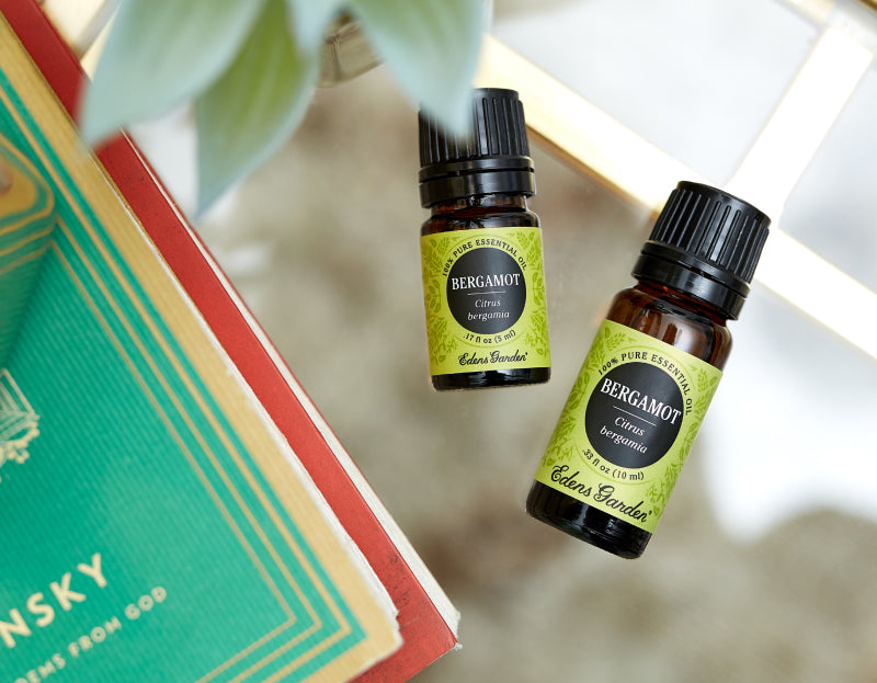 Trending Aroma: Bergamot Essential Oil