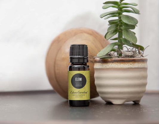 Top Elemi Essential Oil Uses & Benefits