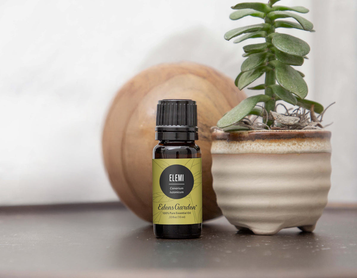 Top Elemi Essential Oil Uses & Benefits